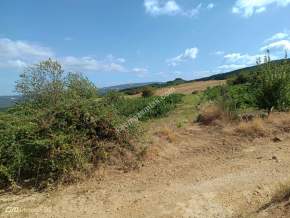 Tekirdağ Şarköy Çengelli Mahallesi Satılık Üzüm Bağı