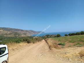 Tekirdağ Şarköy Gaziköy Mahallesinde Satılık Üzüm Bağı