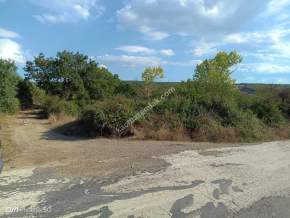 Tekirdağ Şarköy İshaklı Mahallesi Satılık Tarla