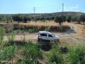 Tekirdağ Şarköy Eriklice Mahallesi Satılık Tarla