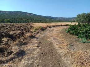 Tekirdağ Şarköy İğdebağları Mahallesi Satılık Tarla