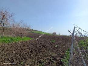 Tekirdağ Şarköy İstiklal Mahallesi Satılık Tarla Hisses