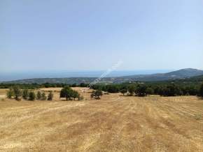 Tekirdağ Şarköy Mursallı Mahallesi Satılık Tarla