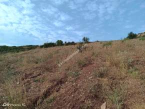 Tekirdağ Şarköy Tepeköy Mahallesi Satılık Tarla