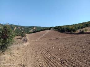 Tekirdağ Şarköy Yeniköy Mahallesi Satılık Tarla