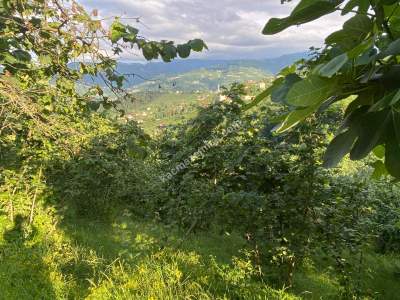 Trabzon, Ortahisar, Akoluk Mahallesinde Satılık Arazi 13