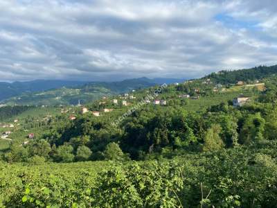 Trabzon, Ortahisar, Akoluk Mahallesinde Satılık Arazi 2