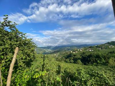 Trabzon, Ortahisar, Akoluk Mahallesinde Satılık Arazi 1