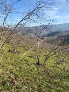 Trabzon, Ortahisar, Akoluk Mahallesinde Satılık Arazi 11