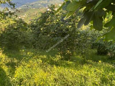 Trabzon, Ortahisar, Akoluk Mahallesinde Satılık Arazi 12