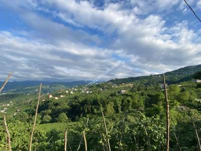 Trabzon, Ortahisar, Akoluk Mahallesinde Satılık Arazi 8