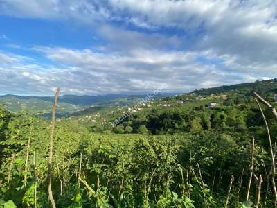 Trabzon, Ortahisar, Akoluk Mahallesinde Satılık Arazi 5