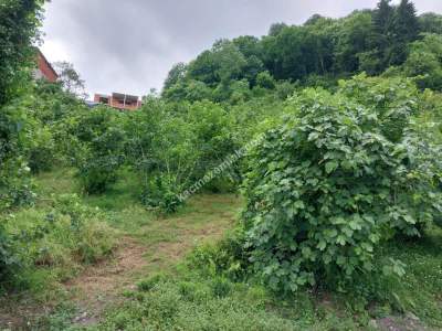 Kaçmaz Emlaktan Trabzon Subaşı Köyü Satılık Arazi 12