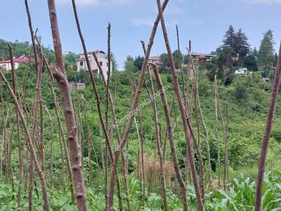 Kaçmaz Emlaktan Trabzon Subaşı Köyü Satılık Arazi 4