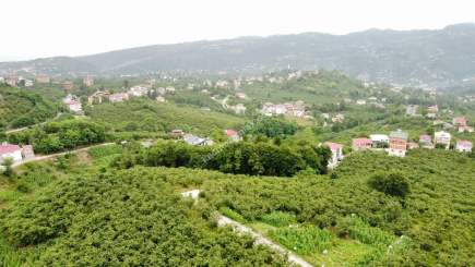 Trabzon Tosköyde Satılık 2648 M2 Arazi 5