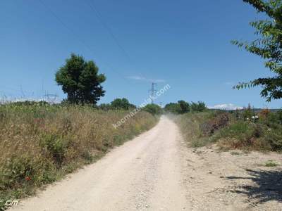 Tekirdağ Şarköy Camiikebir Mahallesi Satılık Bağ Bahçe 2