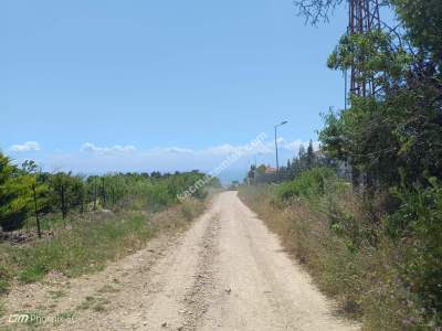 Tekirdağ Şarköy Camiikebir Mahallesi Satılık Bağ Bahçe 3