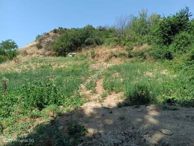 Tekirdağ Şarköy Mursallı Mahallesi Satılık Üzüm Bağı 7