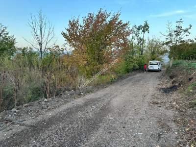 Kestel Babasultan Mah Satılık Armut Ve Kiraz Bahçesi 1