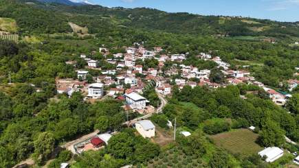 Bursa Kestel Kozluören Söğütçayır Satılık Bahçe Tarla 22