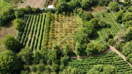 Bursa Kestel Kozluören Söğütçayır Satılık Bahçe Tarla 17