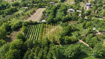 Bursa Kestel Kozluören Söğütçayır Satılık Bahçe Tarla 18