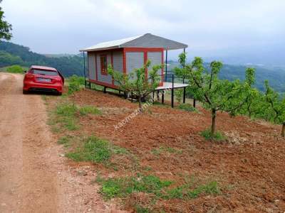 Bursa Kestel Ümitalan Köyü Satılık Şeftali Bahçesi 15