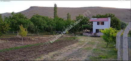 Niğde Bor Gökbez Köyü Satılık Fırsat Bağ-Bahçe 2