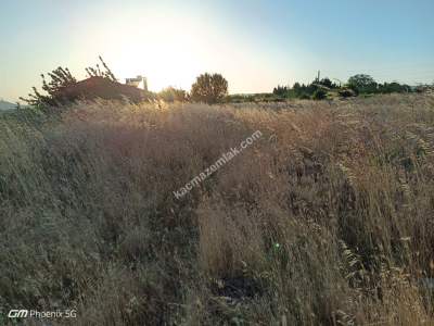 Tekirdağ Şarköy Kirazlı Mahallesi Satılık Tarla 7