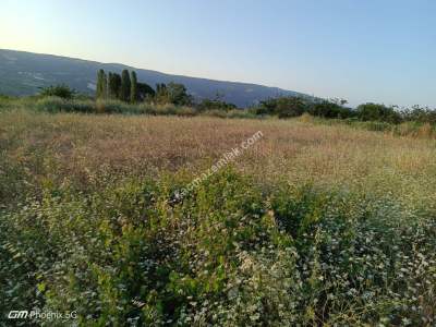 Tekirdağ Şarköy Kirazlı Mahallesi Satılık Tarla 2