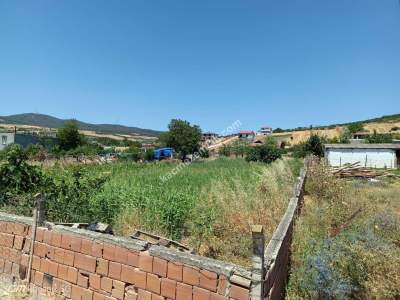 Tekirdağ Şarköy Şenköy Mahallesi Satılık Bahçe 6