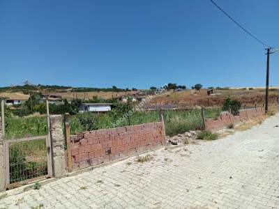 Tekirdağ Şarköy Şenköy Mahallesi Satılık Bahçe 8