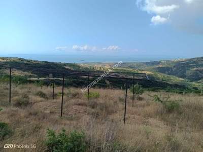 Tekirdağ Şarköy Tepeköy Mahallesi Satılık Hobi Bahçesi 7