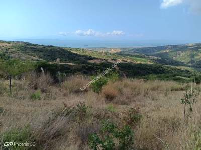 Tekirdağ Şarköy Tepeköy Mahallesi Satılık Hobi Bahçesi 6