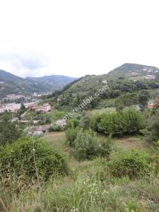 Trabzon Akoluk Da Satılık 6.067M2 Arazi, 30