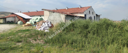 Ankara'da Satılık 3 Katlı Evi Olan 100 Başlık Mandıra 6