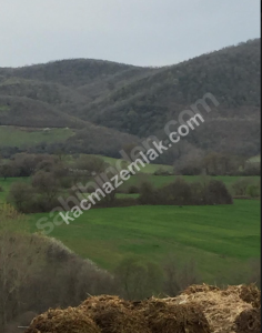 Çanakkale Biga Türkbakacak'da Satılık Büyükbaş Çiftlik 9