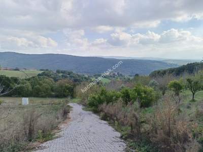 İzmit Dağ Köy Satilik Arsa 14