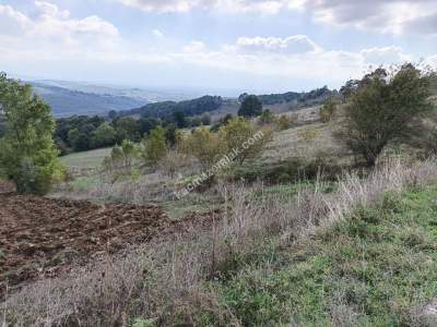 İzmit Dağ Köy Satilik Arsa 10