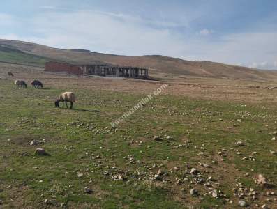 Siirt Doğan Şavuran Mahallesi Satılık İmarlı Arsa 13