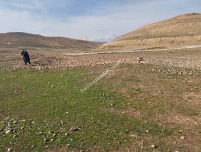 Siirt Doğan Şavuran Mahallesi Satılık İmarlı Arsa 17