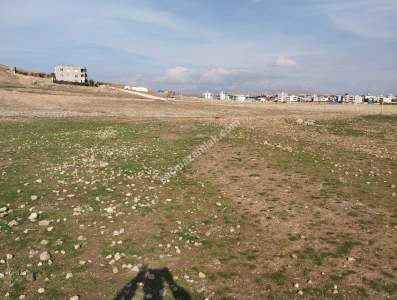 Siirt Doğan Şavuran Mahallesi Satılık İmarlı Arsa 15