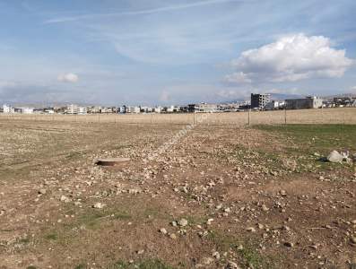 Siirt Doğan Şavuran Mahallesi Satılık İmarlı Arsa 19