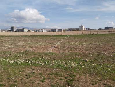 Siirt Doğan Şavuran Mahallesi Satılık İmarlı Arsa 2