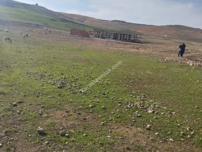 Siirt Doğan Şavuran Mahallesi Satılık İmarlı Arsa 18