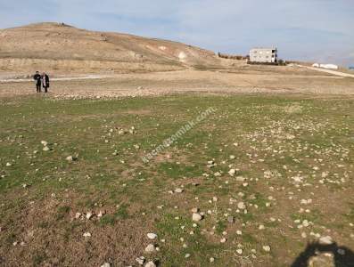 Siirt Doğan Şavuran Mahallesi Satılık İmarlı Arsa 12