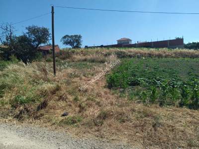 Tekirdağ Şarköy Camiikebir Mahallesi Satılık Konut Arsa 3