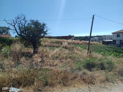 Tekirdağ Şarköy Camiikebir Mahallesi Satılık Konut Arsa 4