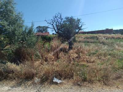 Tekirdağ Şarköy Camiikebir Mahallesi Satılık Konut Arsa 5