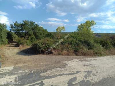 Tekirdağ Şarköy İshaklı Mahallesi Satılık Tarla 1